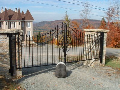 Portail d'entrée en fer forgé avec médaillon et vue sur la montagne